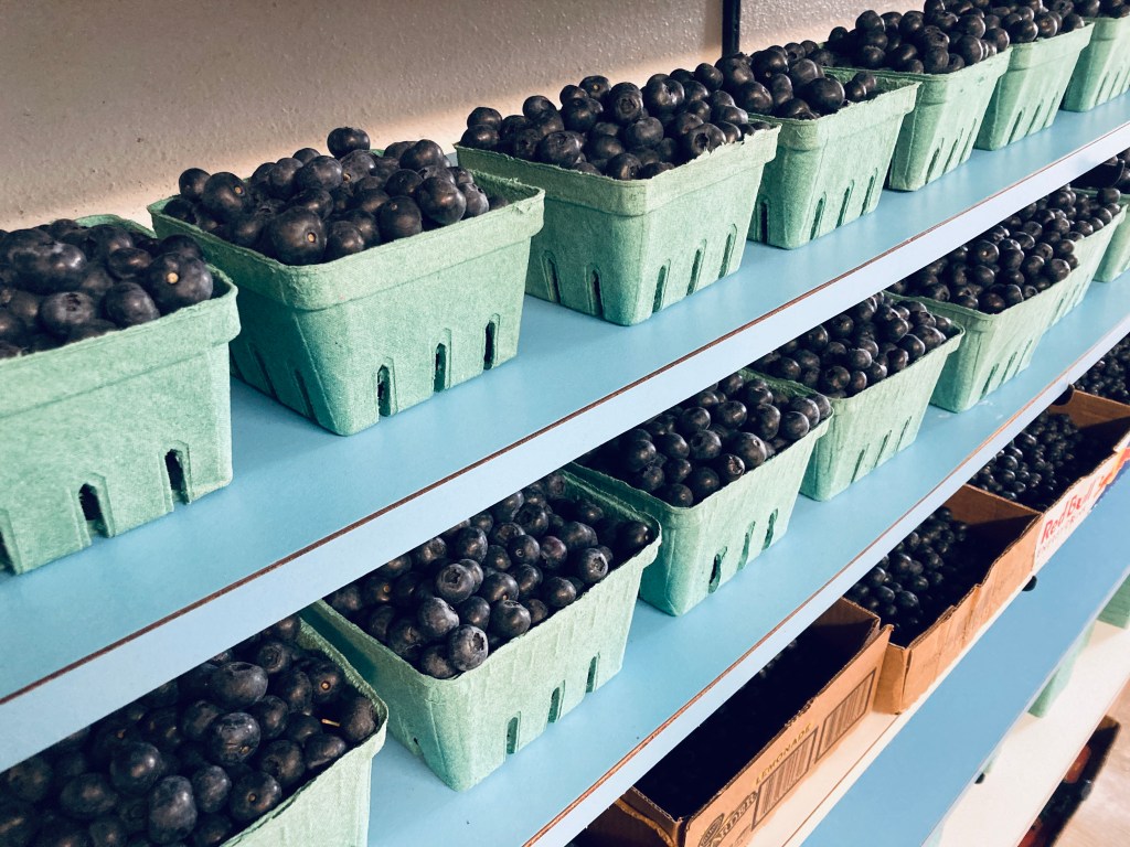 Shelves displaying pint and quart baskets filled with fresh blueberries