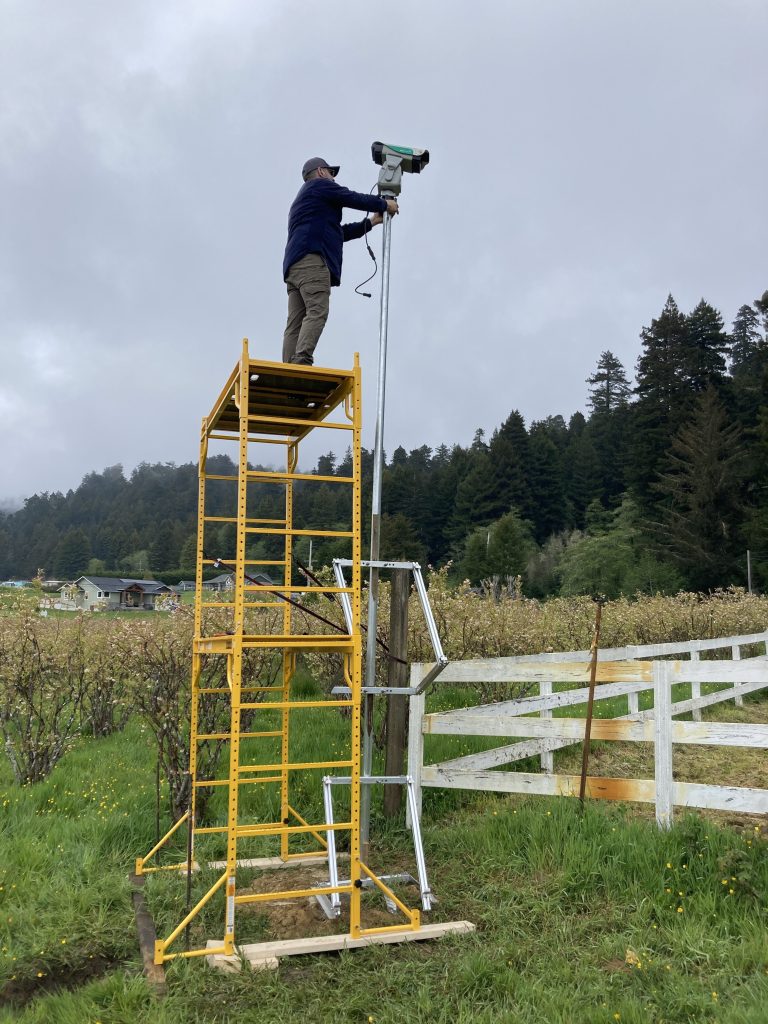 Bird Control Group technician on top of assembled scaffolding mounting the solar powered bird laser